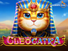 Oyun alanı tefriş dwg. Aristocrat free casino games.7